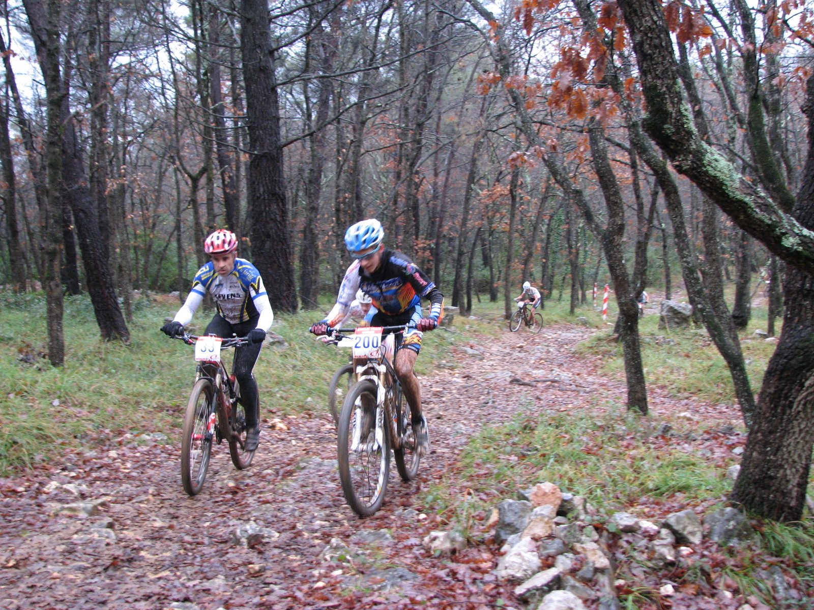 vence 2014 (21)
